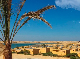 Dakhla 2027 · Kite-boarding.com